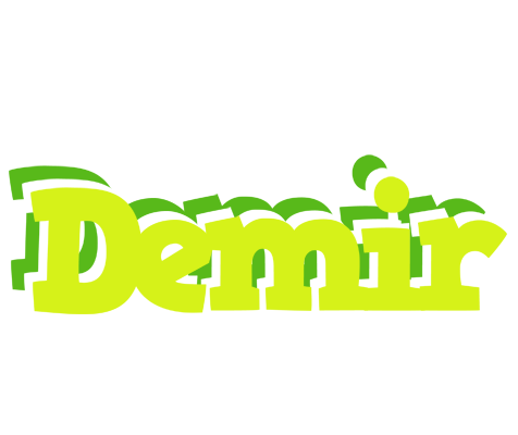 Demir citrus logo