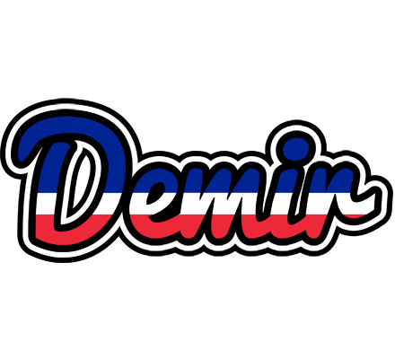 Demir france logo