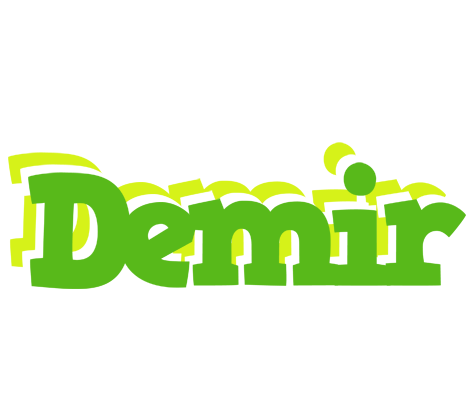 Demir picnic logo