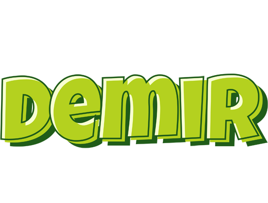 Demir summer logo