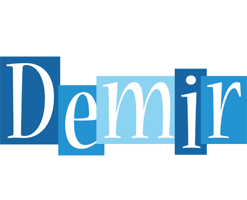 Demir winter logo