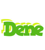 Dene picnic logo