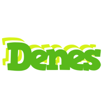 Denes picnic logo