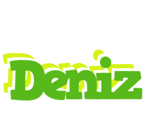 Deniz picnic logo