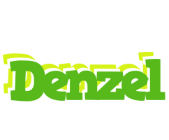 Denzel picnic logo
