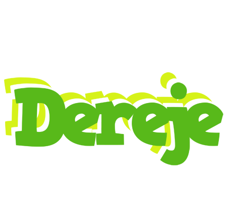 Dereje picnic logo