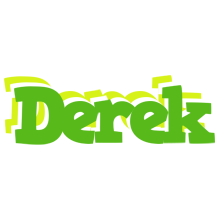 Derek picnic logo