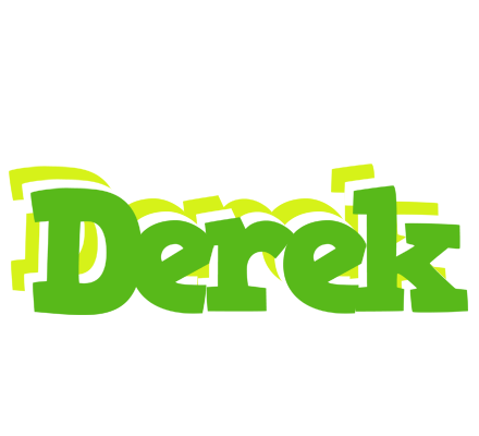 Derek picnic logo