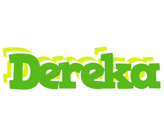 Dereka picnic logo