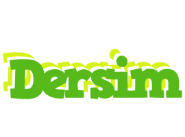 Dersim picnic logo