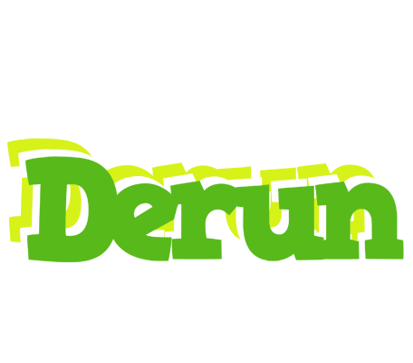 Derun picnic logo