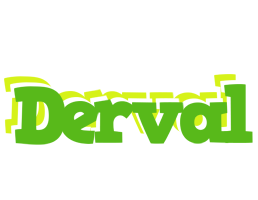 Derval picnic logo