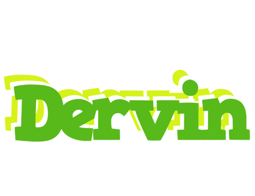 Dervin picnic logo