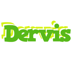 Dervis picnic logo