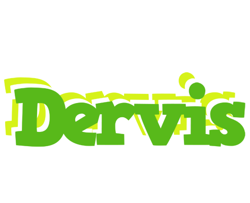 Dervis picnic logo