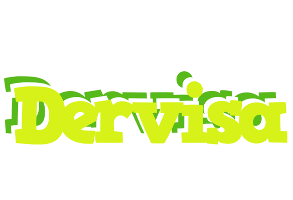 Dervisa citrus logo