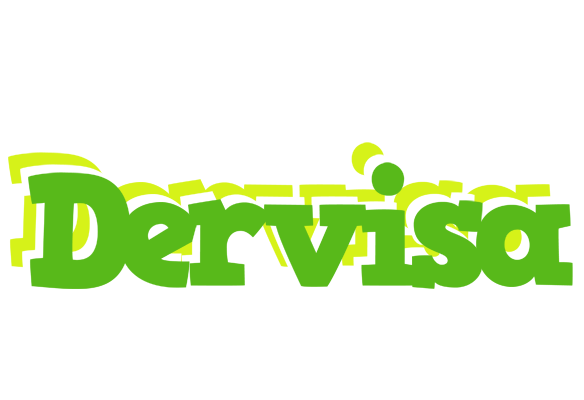 Dervisa picnic logo