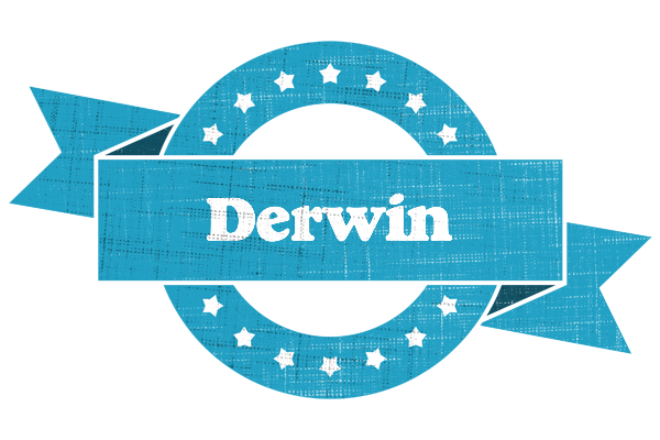 Derwin balance logo