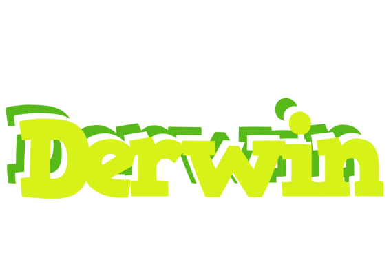 Derwin citrus logo