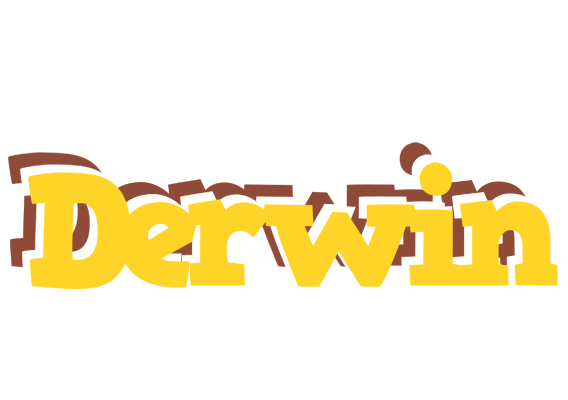 Derwin hotcup logo