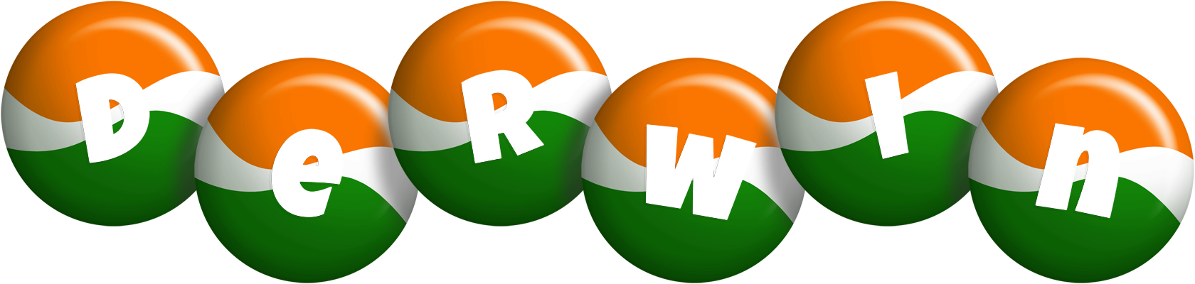 Derwin india logo