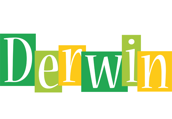 Derwin lemonade logo