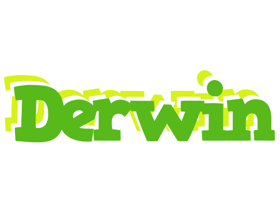 Derwin picnic logo