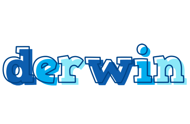 Derwin sailor logo
