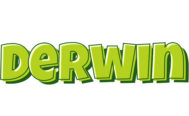 Derwin summer logo