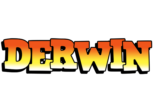 Derwin sunset logo