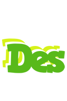 Des picnic logo