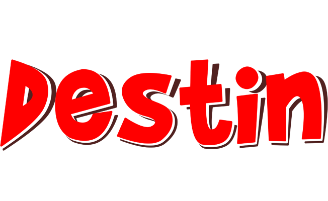 Destin basket logo