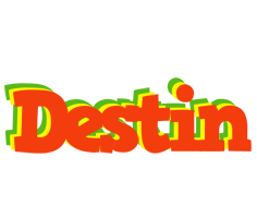 Destin bbq logo