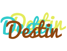 Destin cupcake logo