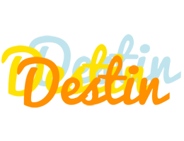 Destin energy logo