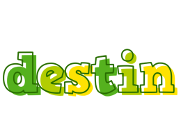 Destin juice logo