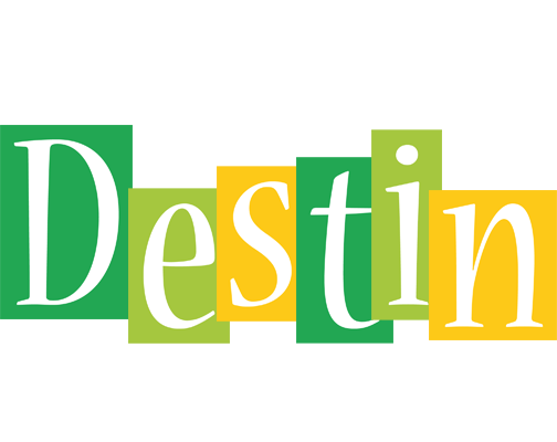 Destin lemonade logo