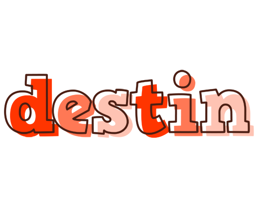 Destin paint logo