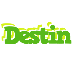 Destin picnic logo