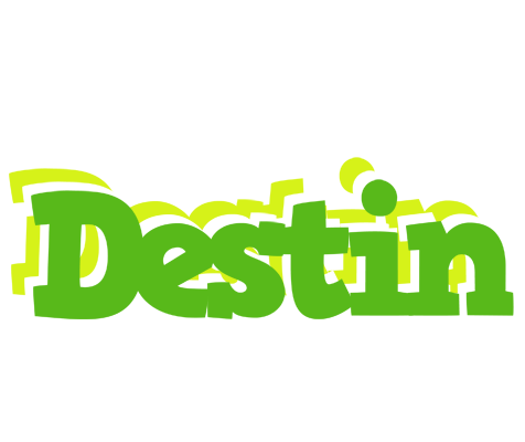 Destin picnic logo