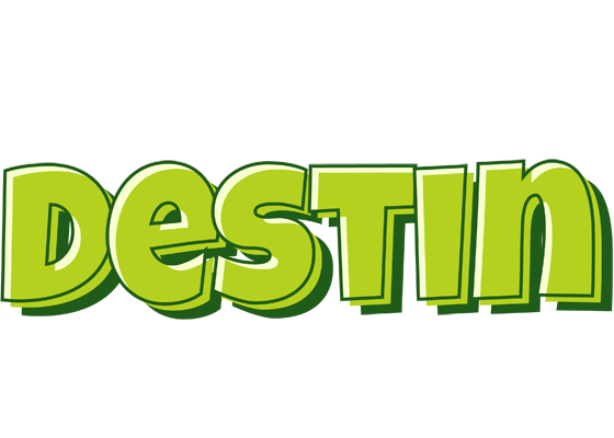 Destin summer logo