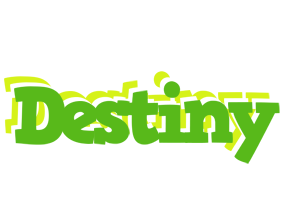 Destiny picnic logo