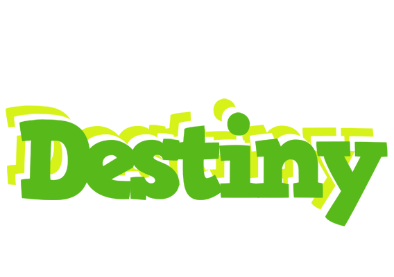 Destiny picnic logo