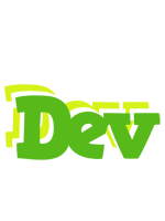 Dev picnic logo