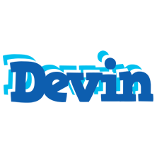 Devin business logo