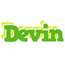 Devin picnic logo