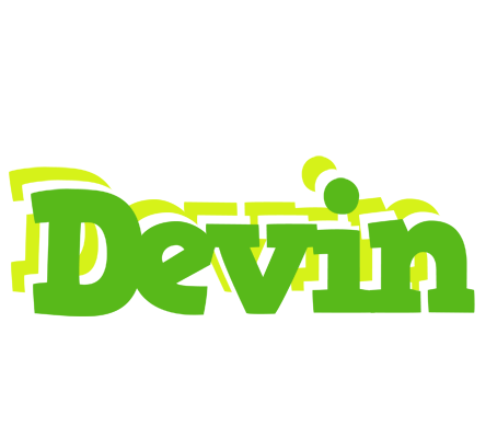 Devin picnic logo