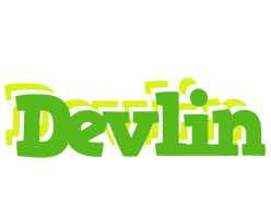 Devlin picnic logo