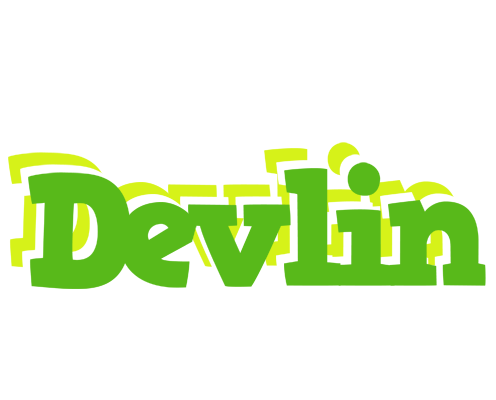 Devlin picnic logo