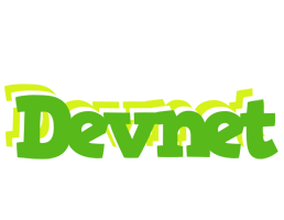 Devnet picnic logo